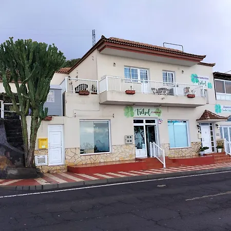 Apartment Trebol Mocanal